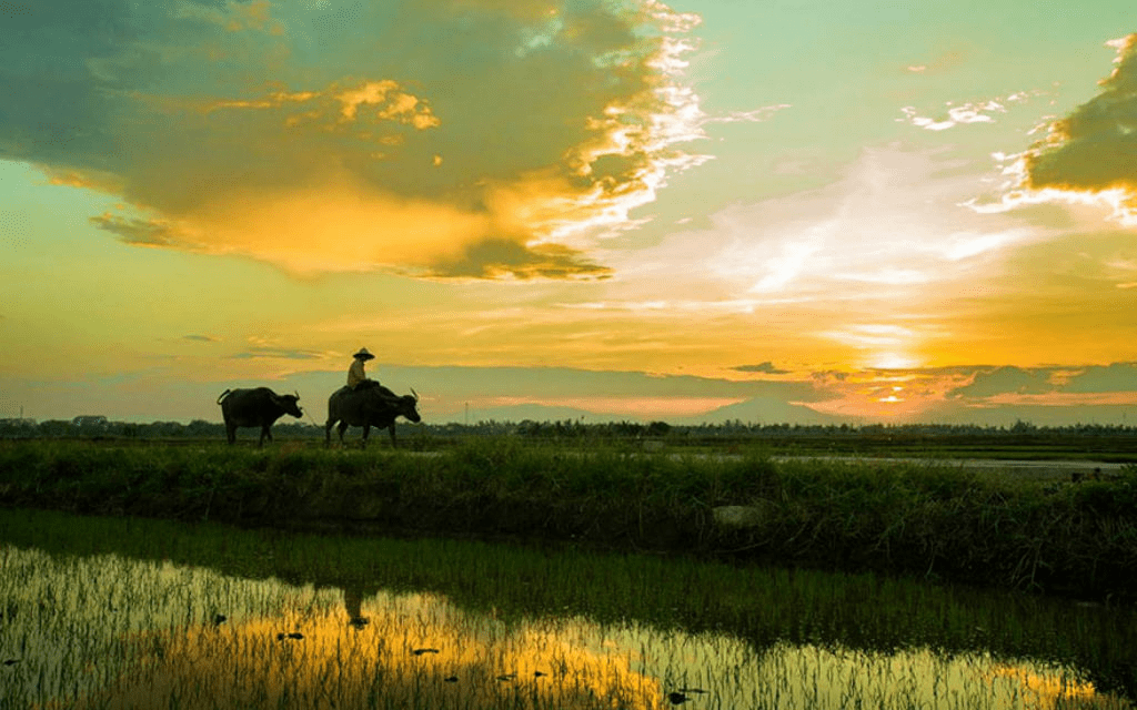 Discover The Hidden Gems Of Hoi An's Countryside Villages 4 kkk min 1