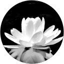 Svetlana Kuznetsova profile picture