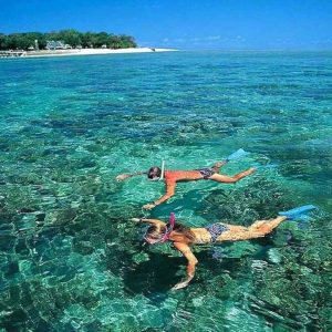Cham Island Snorkeling Tour from Hoi An
