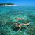 Fun Dive (Certified divers)/2 dives