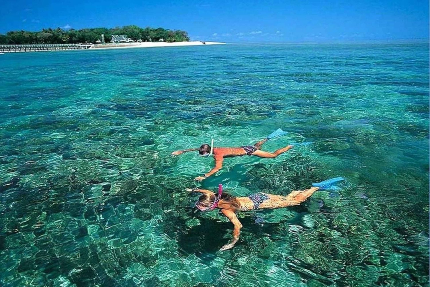 Cham Island Snorkeling Tour from Hoi An